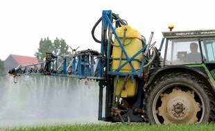 L'usage des produits phytosanitaires a baissé de près de 6% entre 2011 et 2012, les agriculteurs réussissant enfin "à inverser la courbe", a annoncé lundi le ministre de l'Agriculture lors d'une conférence de presse, à l'occasion du point d'étape annuel du plan Ecophyto.