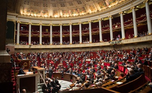 Illustration de l'Assemblée nationale à Paris.