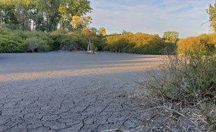La sécheresse, visible sur le site des marais de Fretin (illustration).