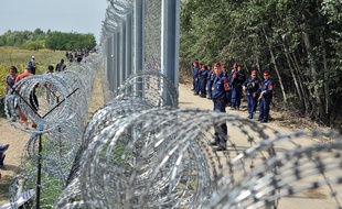 Des migrants marchent le long de la clôture érigée à la frontière entre la Serbie et la Hongrie sous la surveillance de policiers hongrois, le 15 septembre 2015.