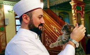 Un imam turc a ouvert les portes de sa mosquée aux chats.