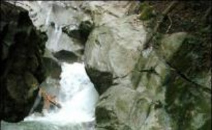 Un adolescent de 12 ans et un moniteur sont morts noyés et une accompagnatrice a été grièvement blessée dans un accident relativement rare de canyoning, le premier de la saison, dimanche matin, près de Cluses, en Haute-Savoie.