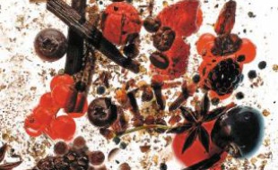 Le « nez » d'un bon vin peut faire l'effet d'une explosion de fruits rouges.