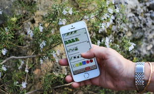 L'application Ecobalade développée par Natural Solutions.