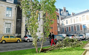 Le centre-ville de Rennes portait lundi quelques séquelles de la tempête.