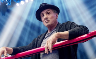 L'acteur Sylvester Stallone