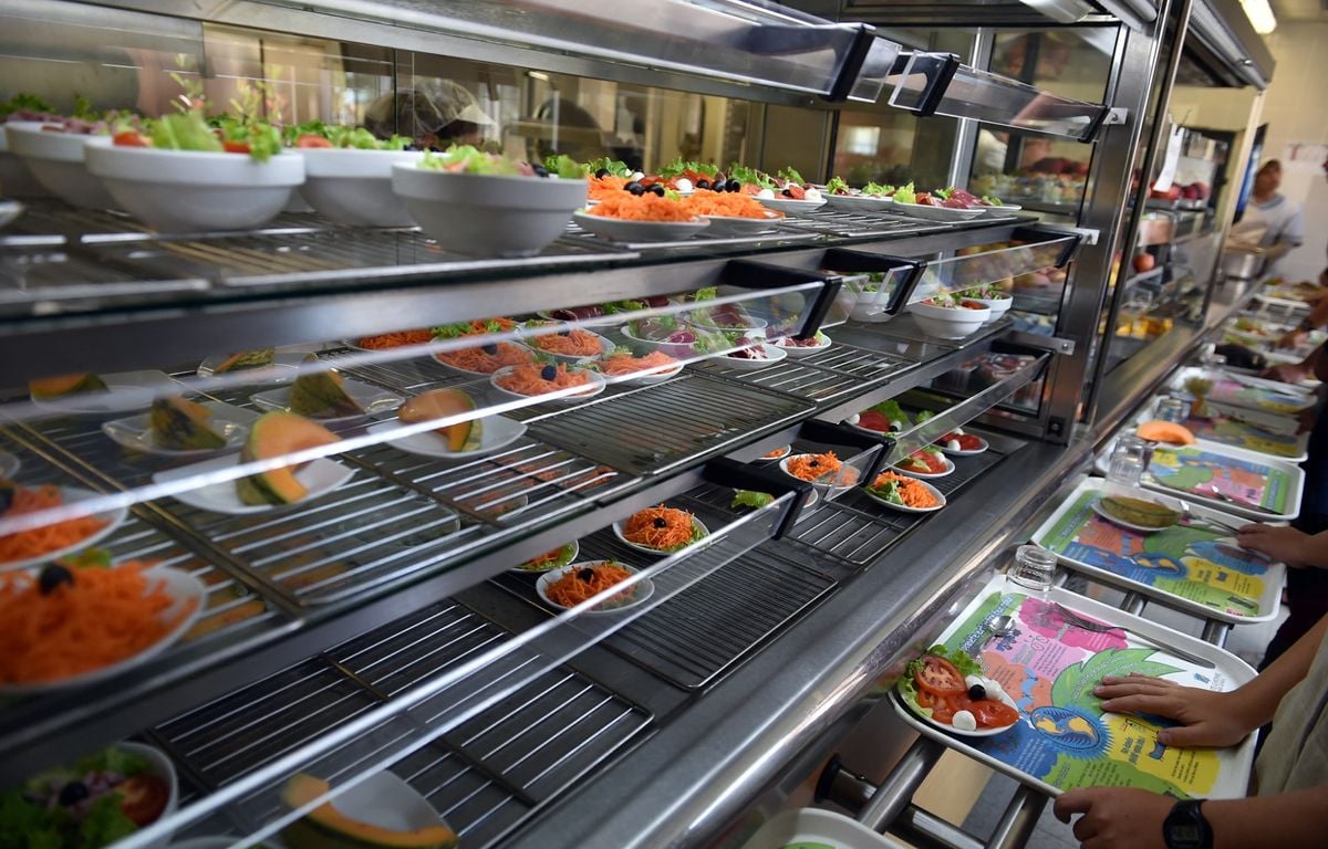 Rentrée scolaire : Huit grandes villes bannissent le thon des menus des cantines