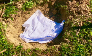 L'un des slips enterrés au domaine de Favas, dans l'Hérault