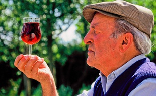 Illustration: Un vigneron regarde la couleur de son vin.