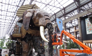 Des travaux d'entretien sur l'éléphant des Machines de l'île.