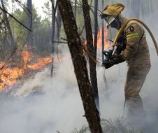 Les pompiers de la Garde nationale républicaine éteignent un incendie de forêt dans le village de Rebolo, près d'Ansiao, dans le centre du Portugal, le jeudi 14 juillet 2022.