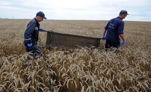 Des secouristes ukrainiens ramassent les corps des victimes du vol MH17 à Grabove, en Ukraine, le 19 juillet 2014