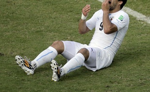 Luis Suarez au sol, le 24 juin 2014 au Brésil.
