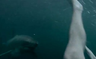 Capture d'écran de la vidéo d'un Australien attaqué par un requin blanc.