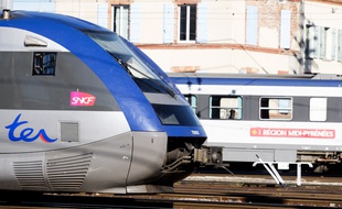 Des TER à la gare Matabiau de Toulouse, le 9 novembre 2011.