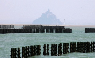 Les moules de bouchot du Mont-Saint-Michel. (archives)
