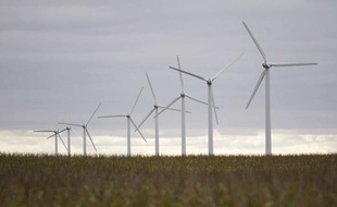 Des éoliennes dans un champ de maïs, dans l'Iowa, aux Etats-Unis.