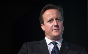 Le Premier ministre britannique David Cameron le 22 juillet 2014 à Londres