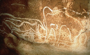 Une grotte paléolithique à Vallon-Pont d'Arc (Ardèche).