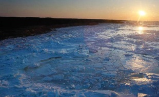 La fermeture de bibliothèques du ministère des Pêches et des Océans du Canada et la destruction des ouvrages scientifiques qu'elles contenaient suscitent la consternation et la colère des chercheurs canadiens, qui y voient une décision "idéologique".