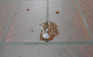 Illustration d'un crachat dans l'espace public.