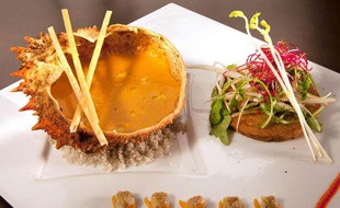LE CROISIC. François Thorel fait vivre avec passion cette joyeuse
maison installée sur le port, face à l’ancienne criée. Un menu
complet à 17 € comme entrée de gamme, mais on s’orientera plutôt
vers le performant menu « Bord de Mer », à 27 €, pour la cassolette
d’escargots du Croisic aux pleurotes et crumble de parmesan en écume
de persil, le filet de dorade poêlé piqué au romarin sur risotto au
basilic et la crêpe au caramel. Cave encore un peu juste.
Note G&M : Le Ty Mad. 3, quai de la Petite Chambre 44490 Le
Croisic. Tél. : 02 40 23 02 77