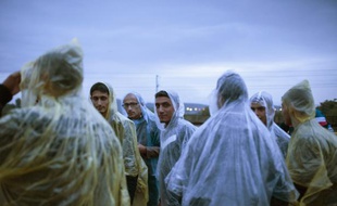 Des migrants viennent de traverser la frontière entre la Grèce et la Macédoine près de Gevgelija le 7 octobre 2015