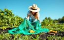 Envie de faciliter vos plantations ? Ce filet treillis vert 90×180 cm est à moins de 1 € chez GIFI