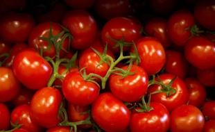 Des tomates vendues le 9 mai 2014 en un supermarché à Paris