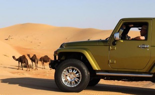 Un homme conduit son 4X4 dans le désert de Swaihan dans l'Est des Emirats arabes unis le 19 décembre 2014