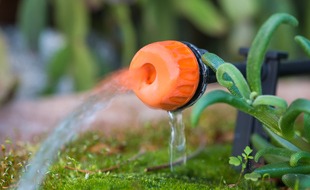 En urinant 500 litres par an, il est possible de fertiliser 400 m2 de terre.