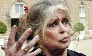 Photo prise le 27 septembre 2007 au Palais de l'Elysée de l'ancienne actrice Brigitte Bardot