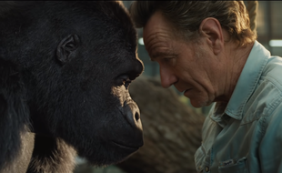 Disney va sortir deux films destinés au cinéma sur sa plateforme de streaming