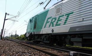 Le train Perpignan-Rungis achemine chaque jour 1400 tonnes de fruits et légumes au cœur de la capitale. (Illustration)