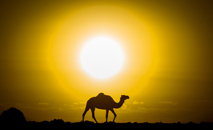 Des records de chaleur battus au Maroc
