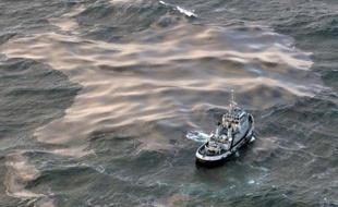 La Cour de cassation dira mardi en début d'après-midi si elle valide ou annule les condamnations, dont celle de Total, prononcées pour la marée noire déclenchée par le naufrage du cargo pétrolier Erika il y a presque 13 ans au large de la Bretagne.