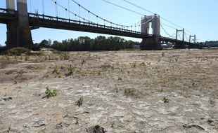 La Loire asséchée à Montjean-sur-Loire, le 20 septembre 2019.