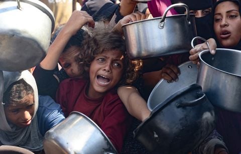 Famine à Gaza, inquiétude pour les vins français et Auchan piraté