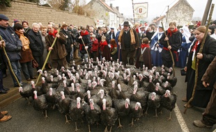 La procession des dindes lors de la fête de la dinde, à Licques, dans le Pas-de-Calais (Archives)