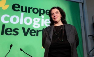 La secrétaire nationale d'EELV Emmanuelle Cosse à Paris le 16 janvier 2014