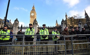 Des agents de police devant le palais de Westminster à Londre le 19 novembre 2014