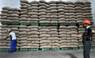 Sacs de fèves de cacao dans un hangar, le 1er octobre 2015 à Abidjan