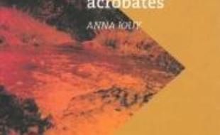 Agrès acrobates