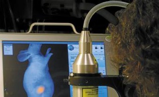 Des expérimentations ont eu lieu pendant deux sur des souris.