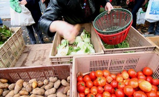 Distribution de paniers par l'AMAP les Jardins de Virgile au Centre social des Bourroches a Dijon.
