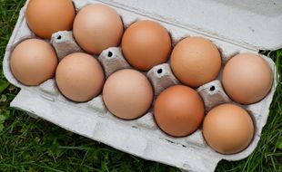 Certains oeufs bio analysés par « 60 millions de consommateurs » contiennent des PCB et des dioxines issus des sols contaminés.