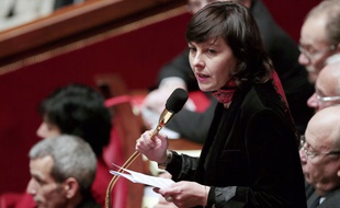 Carole Delga le 30 janvier 2013 à l'Assemblée.