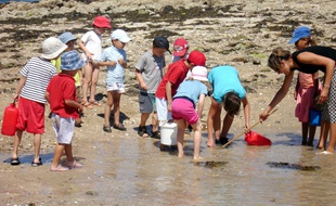 Illustration d'une colonie de vacances à la mer.