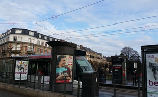 Strasbourg sur le pont pour protéger les cygnes de ses lignes de tram