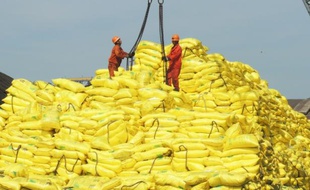 Des ouvriers chinois s'apprêtent à charger des navires avec des marchandises destinées à l'exportation, depuis le le port de Lianyungang (est de la Chine), le 13 juillet 2015
